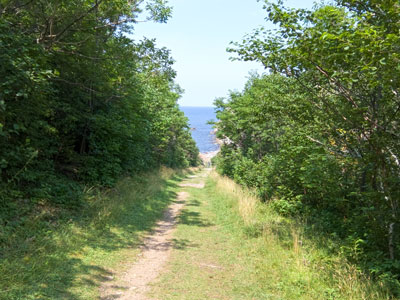 Path
        to the settlers