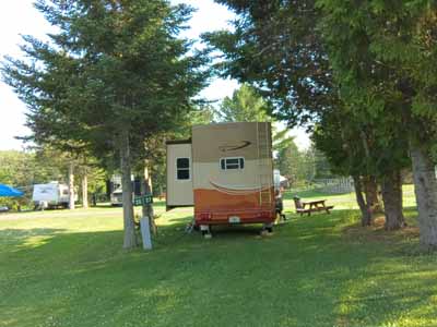 trailer in grassy pine tree campground