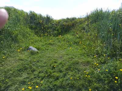 site of
        Viking structure