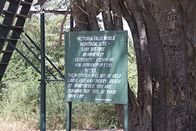 sign by tree