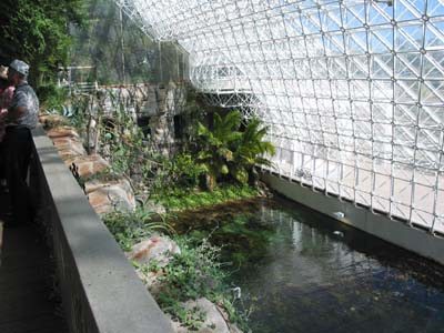 biosphere ocean