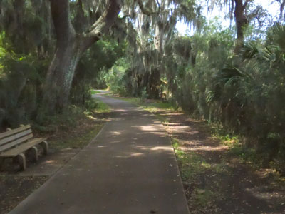 Bicycle Path through the
        woods