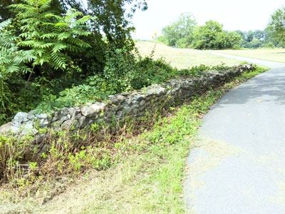 Stone Fence along Empire state trail