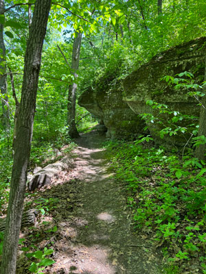 trail
        past the rocks