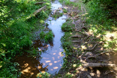 The path at mathew's head