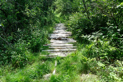 the
        Ganong Nature center hike