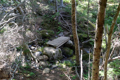 crossing the stream