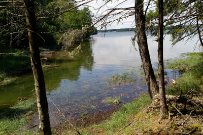 View from the shore