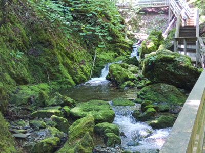 Dickson Falls