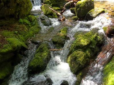 dickson Falls