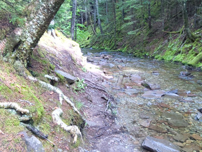 Path along waters edge