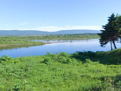 Codroy Campground
                  and Wetlands