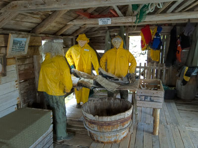 drying and salting cod