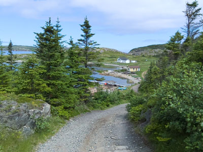 Road/ Trail to Arch