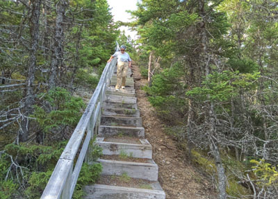 Trail to Big Brook