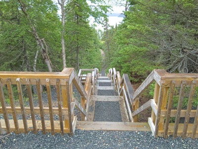 Steep staircase to trail