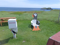 Puffin Chair