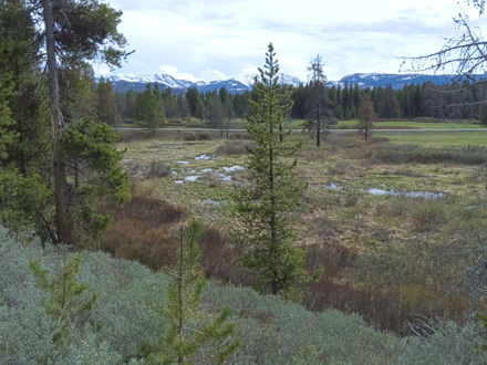 View from the Polcat Trail