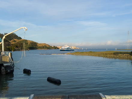 Larkspur Ferry