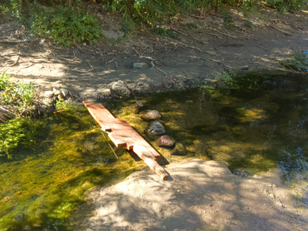 Bonelli Regional park