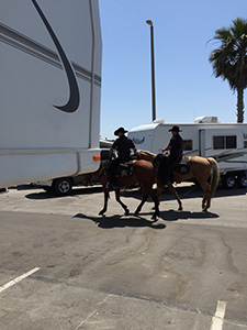 Police
        Horse Patrol