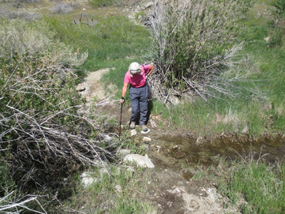 fording
        the stream