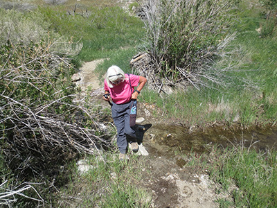 fording the stream