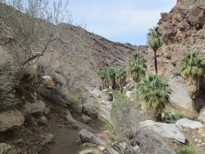 rocky
        path