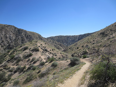 canyon
        trail