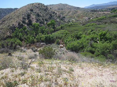 Morengo
        Canyon