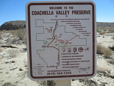 coachella
        preserve