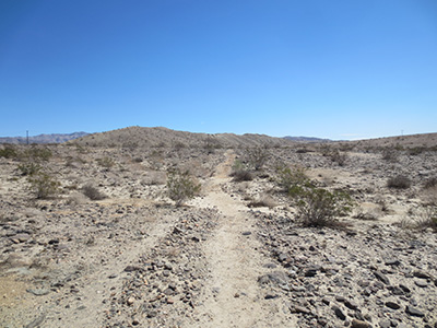 desert
        trails