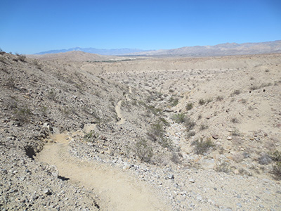 desert
        trails