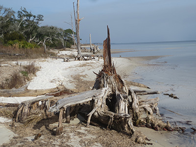 Gulf Island National Seashore