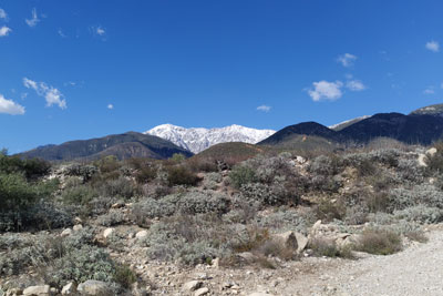 Snow covered Mount Baldy