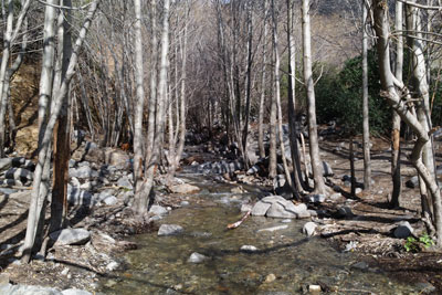 Stream leading to Waterfall