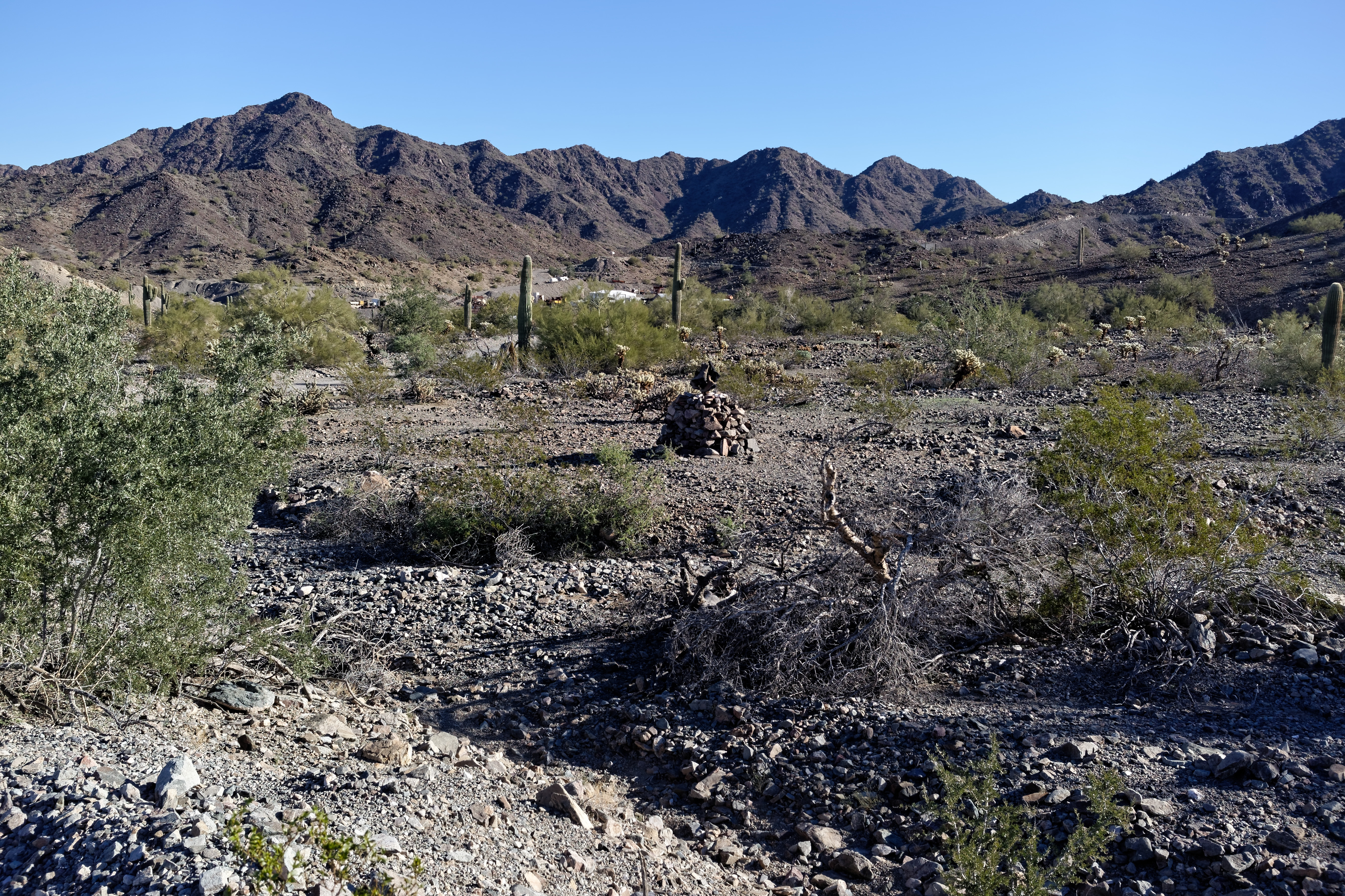 BLM in Quartzsite, AZ