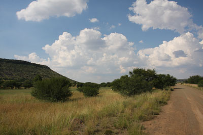 park grounds