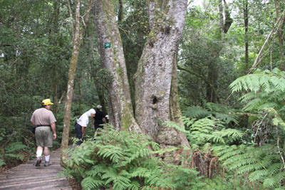 Garden of Eden Walk