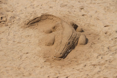 aligator sand sculpture