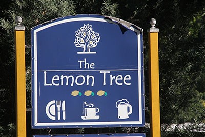 Lemon Tree Restaurant