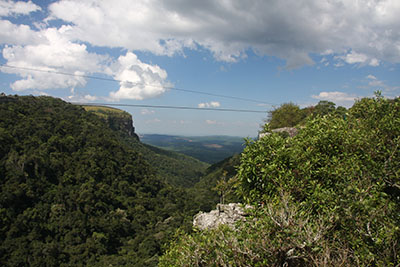 bungy jumping